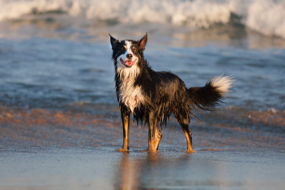 12_20170628060150_9304746_xlarge